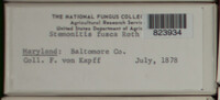 Image Associated With the Occurence